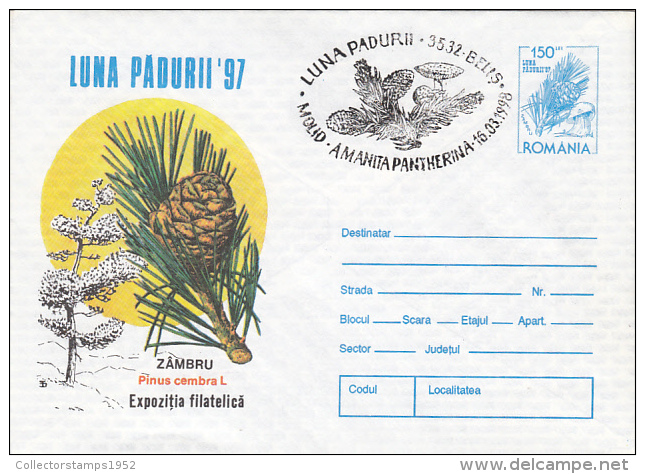 10916- MUSHROOMS, SWISS PINE TREE, COVER STATIONERY, 1997, ROMANIA - Champignons