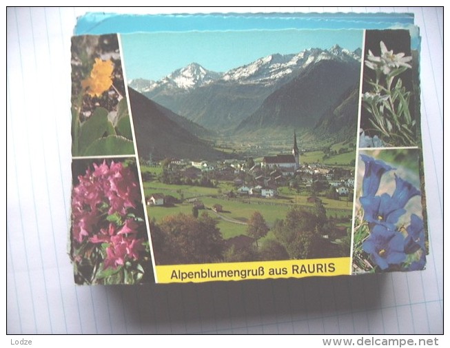 Oostenrijk Österreich Salzburg Rauris Und Blumen - Rauris