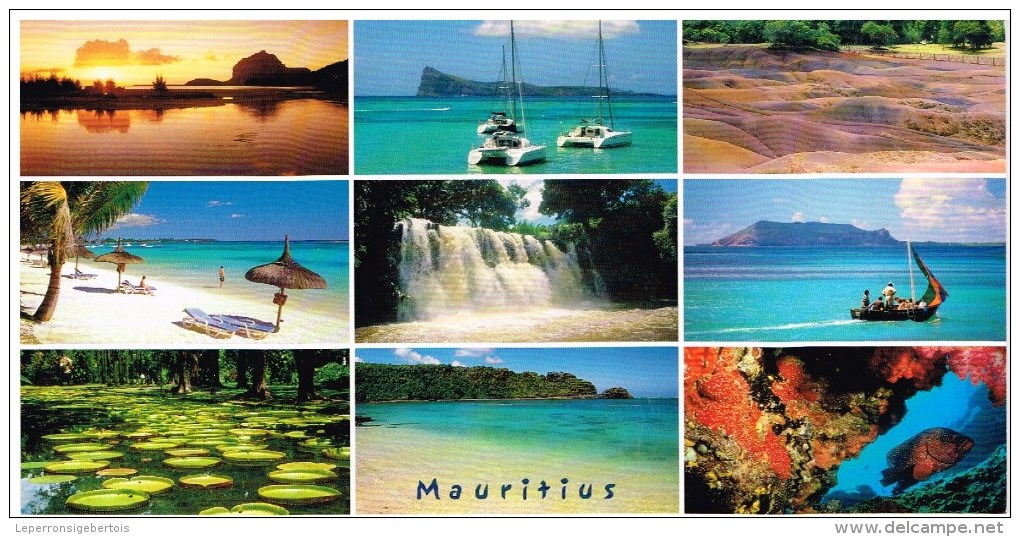 Carte Postale - Maurice  - Couleurs Des Tropiques - Mauritius