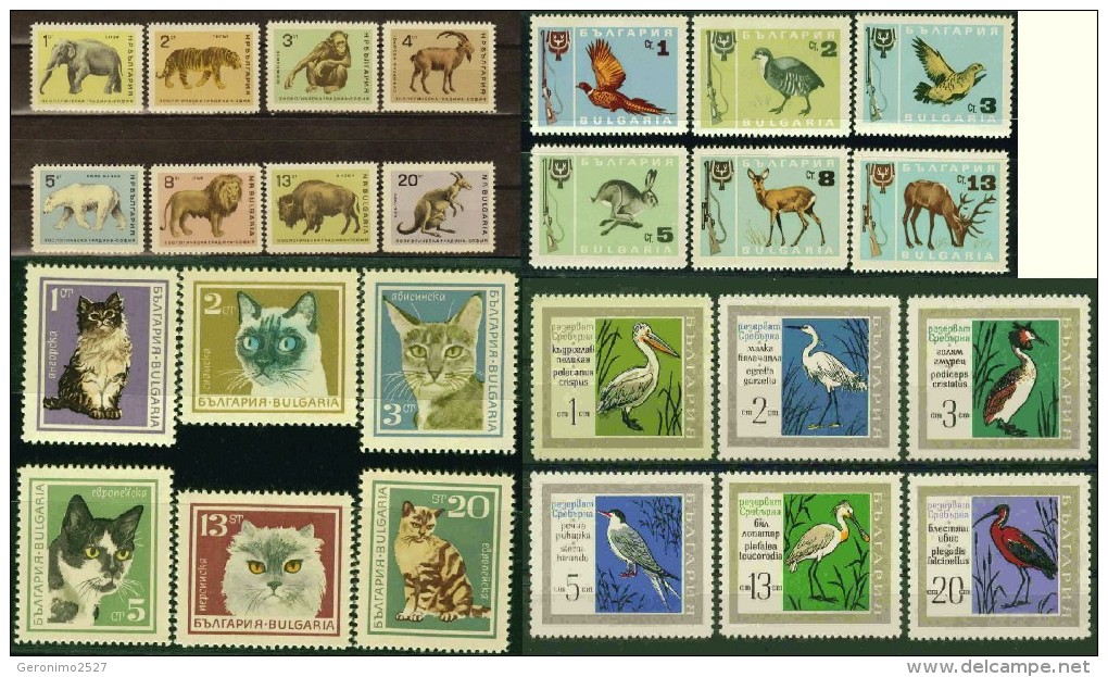 BULGARIA Lot Of 4 Sets MNH FAUNA Zoo Animals Birds CATS MONKEY ELEPHANT LION TIGER - Collections, Lots & Series