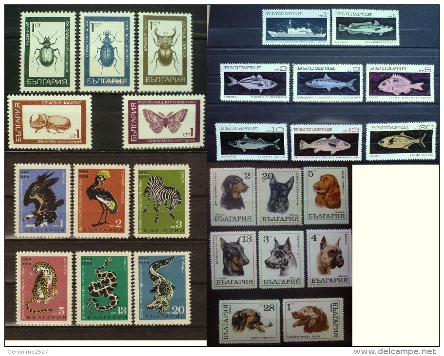 BULGARIA Lot Of 4 Sets MNH FAUNA Zoo Animals Insects BEETLES FISHES DOGS ZEBRA CROCODILE - Collections, Lots & Series