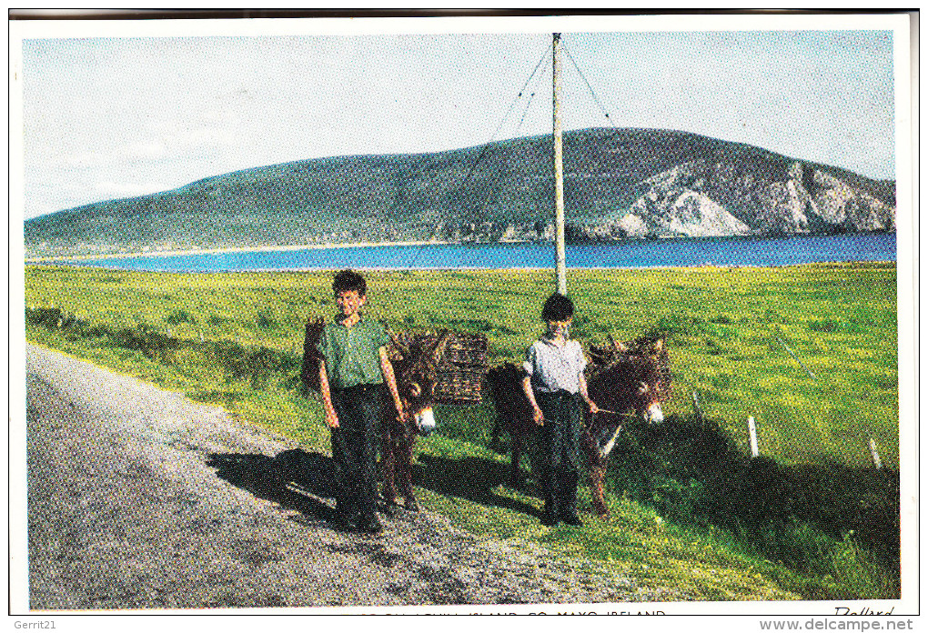 EIRE / IRLAND - MAYO - Achill Island, Going For Turf - Mayo