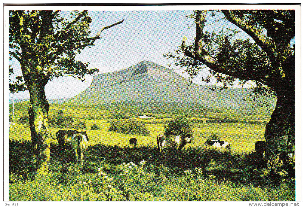 EIRE / IRLAND - SLIGO, Ben Bulben Mountain - Sligo