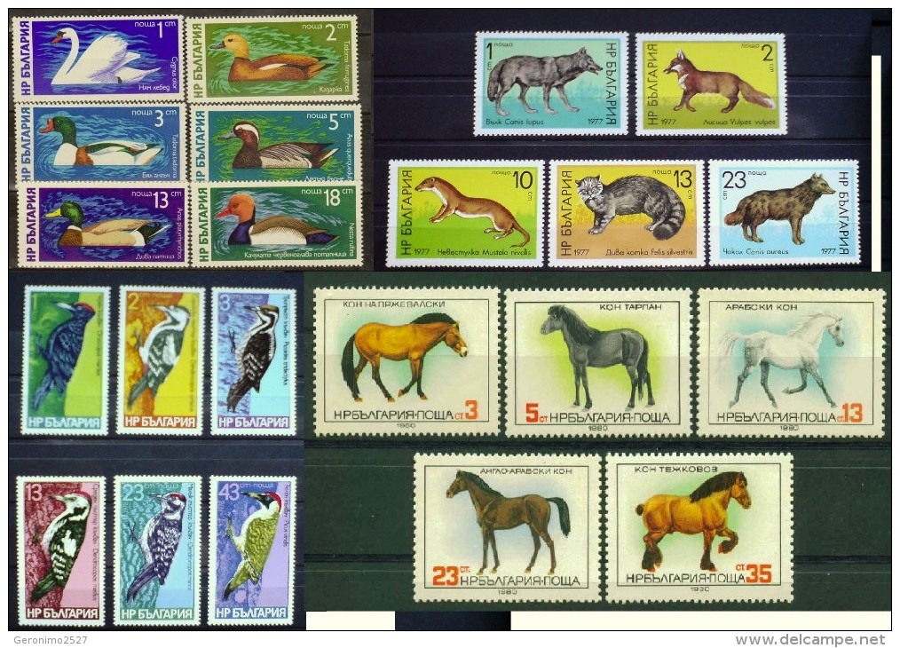 BULGARIA Lot Of 4 Sets MNH FAUNA Animals Birds DUCKS HORSES WOODPECKERS WOLF FOX - Lots & Serien