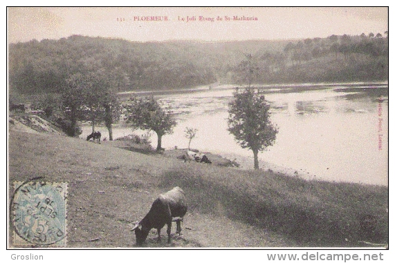 PLOEMEUR 131 LE JOLI ETANG DE ST MATHURIN (VACHES BROUTANT) 1906 - Ploemeur