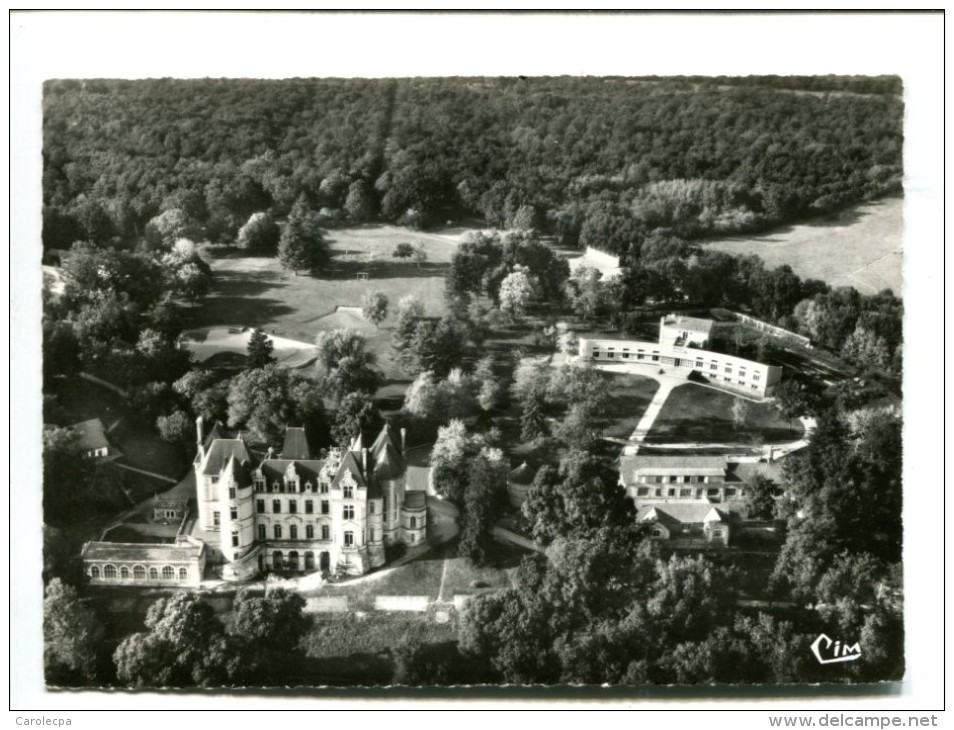 CP - VOUNEUIL SOUS BIARD (86) VUE AERIENNE DU CHATEAU - Vouneuil Sous Biard