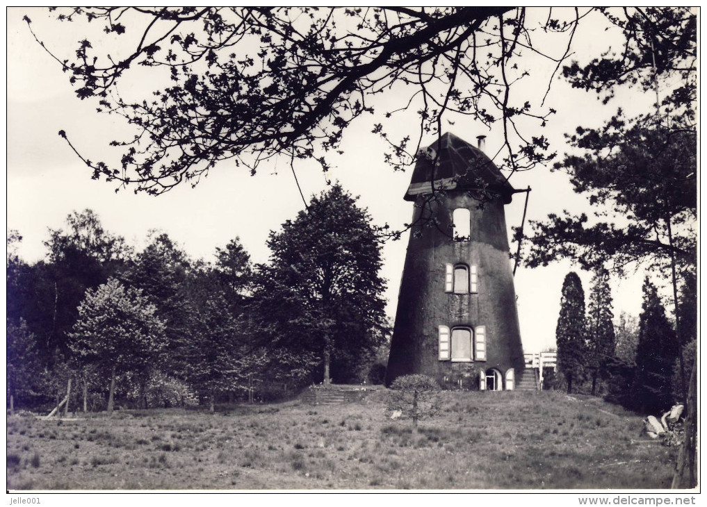 Sint-Pieters-Lille Oude Molen - Lille