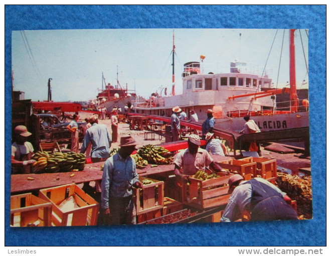 Famous Banana Market At Tampa, Florida - Tampa