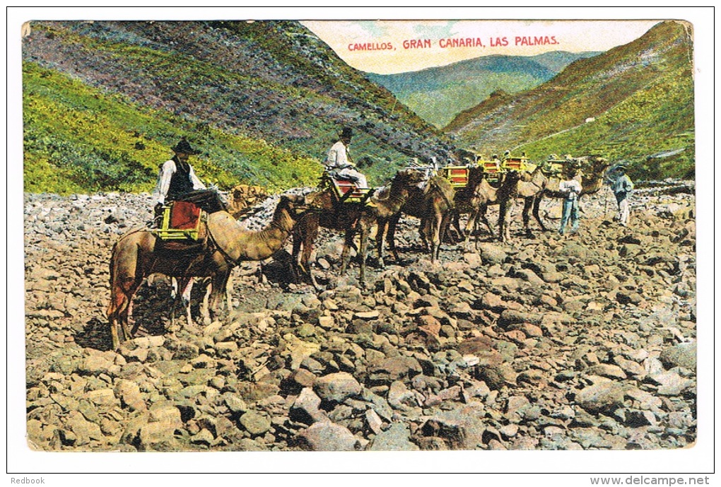 RB 1002 - 1910 Postcard - Camel Train Las Palmas Gran Canaria Spain - Cape Verde Paquebot On GB Stamp To Ireland - Cap Vert