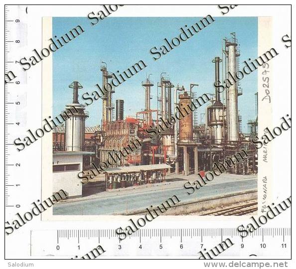 FALCONARA MARITTIMA - Immagine Ritagliata Da Pubblicazione Originale D´epoca - Sonstige & Ohne Zuordnung