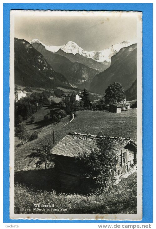 EGG972, Wilderswil, Eiger, Mönch, Jungfrau, 3125,  Circulée 1953 - Wilderswil