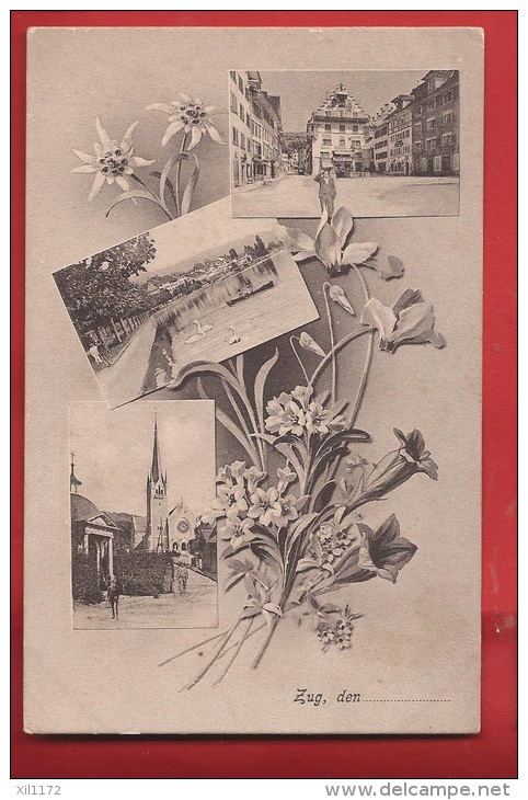 NO-21  Multivues Zug, Edelweiss Litho. Nicht Gelaufen - Zugo