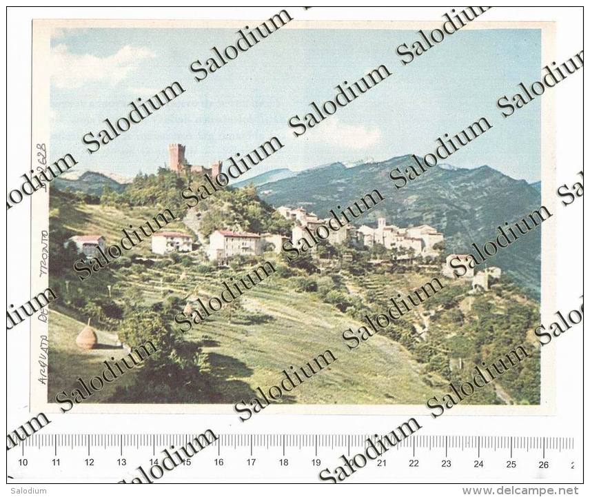 ARQUATO DEL TRONTO - Immagine Ritagliata Da Pubblicazione Originale D´epoca - Sonstige & Ohne Zuordnung