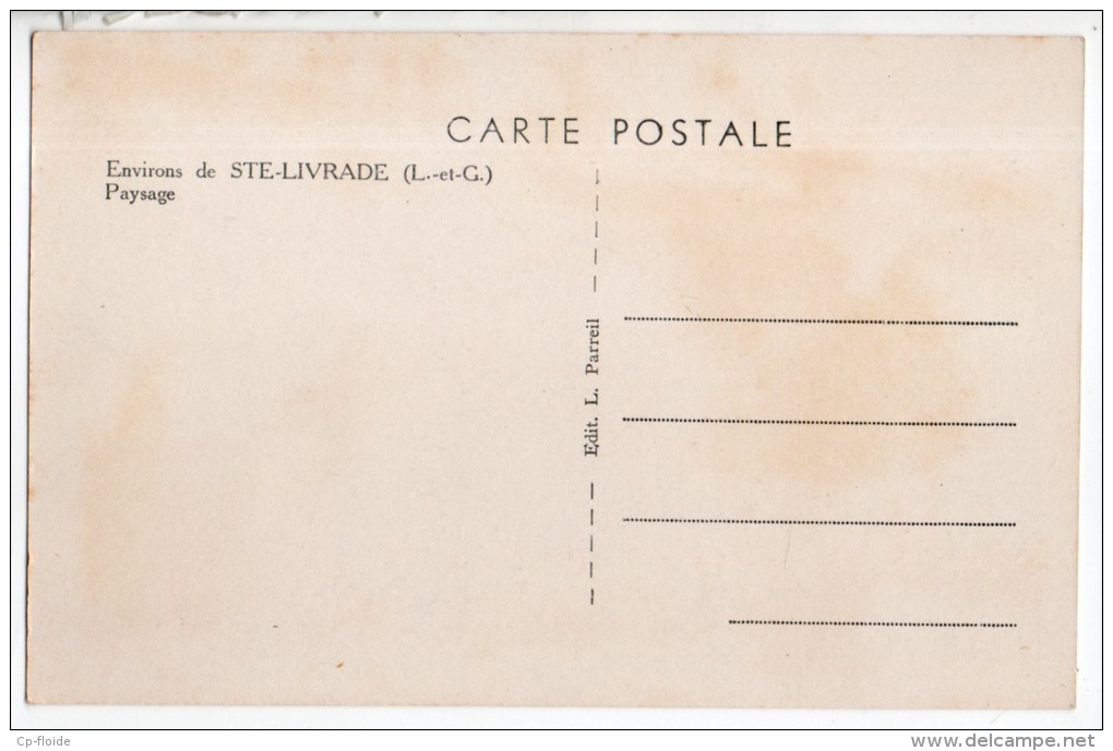 47 - SAINTE-LIVRADE . PAYSAGE AUX ENVIRONS DE STE-LIVRADE - Réf. N°8074 - - Autres & Non Classés