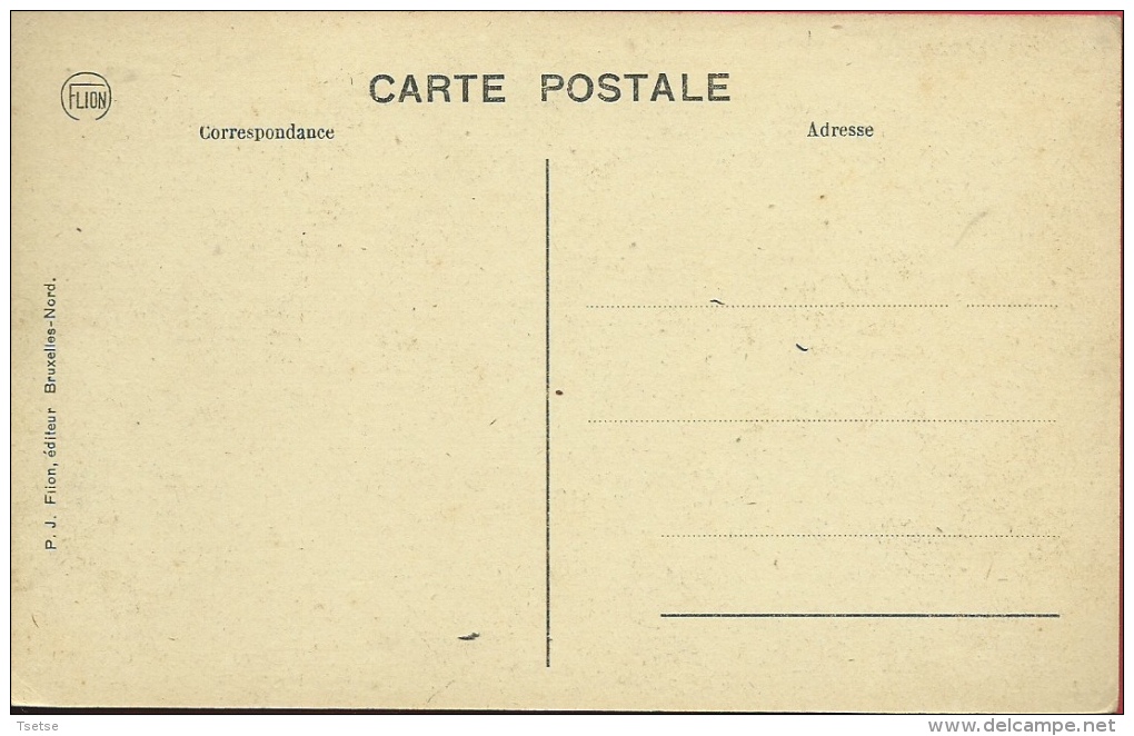 Zottegem / Sottegem - Gedenkteeken 1914-1918 - Geanimeerd  ( Verso Zien ) - Zottegem