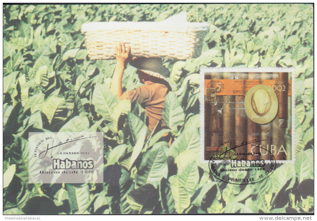 DPC.133  CUBA MAXIM CARD TOBACCO TARJETA MAXIMA DE TABACO 2002 - Cartes-maximum