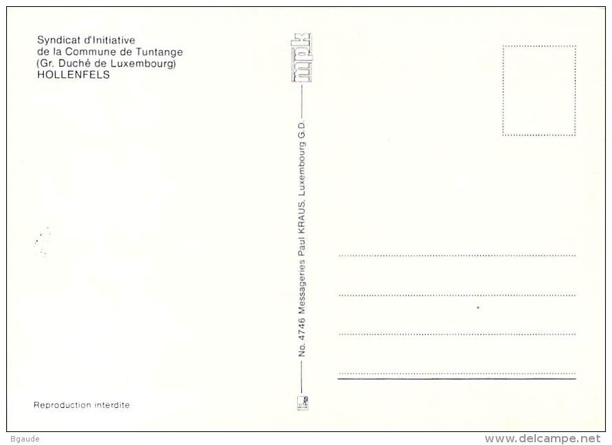 LUXEMBOURG  CARTE  MAXIMUM  NUM-YVERT  1055 CHATEAU HOLLENFELS - Cartes Maximum