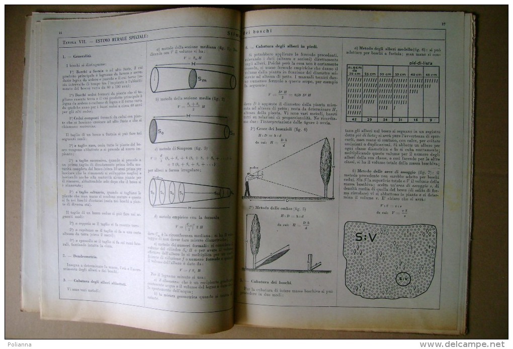 PCL/37 Stuani ESTIMO Rurale-matematica Finanziaria Signorelli 1946 - Wiskunde En Natuurkunde