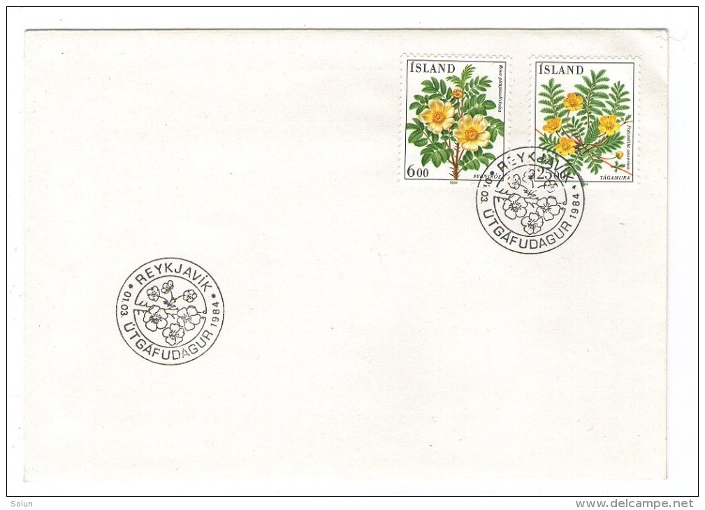 ICELAND ISLAND REYKJAVIK 1984 COMMEMORATIVE POSTMARK STAMPS FLOWERS FLORA - Lettres & Documents