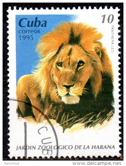 1995 Animals From Havana Zoological Gardens - 10c Lion CTO - Usati