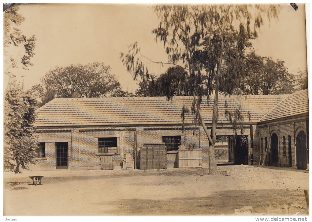 Grande Photo Ancienne Afrique Congo CSK Vue Des Magasins - Autres & Non Classés