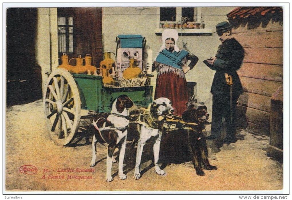 Hondencar Veldwachter  La Laitière Flamande  Flemisch Milkwoman   Marco - Street Merchants