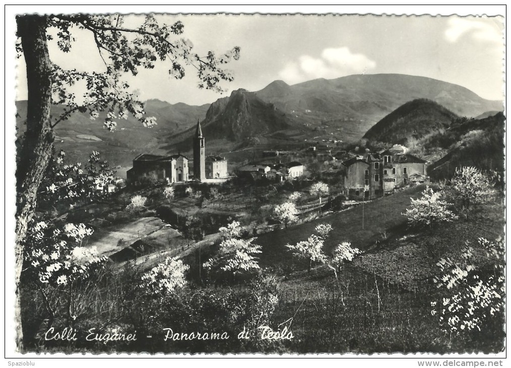 1953, Padova - Colli Euganei - Panorama Di Teolo. - Padova