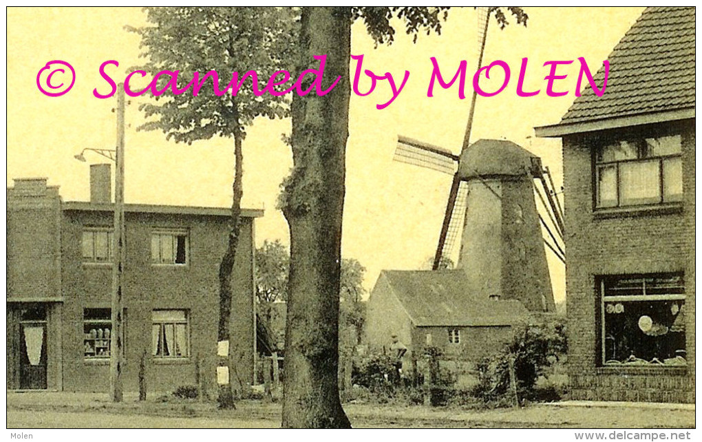 KIEZELWEG BREE - OUDE WINDMOLEN - MOULIN A VENT - PEER Molen Mill Muhle         735 - Peer