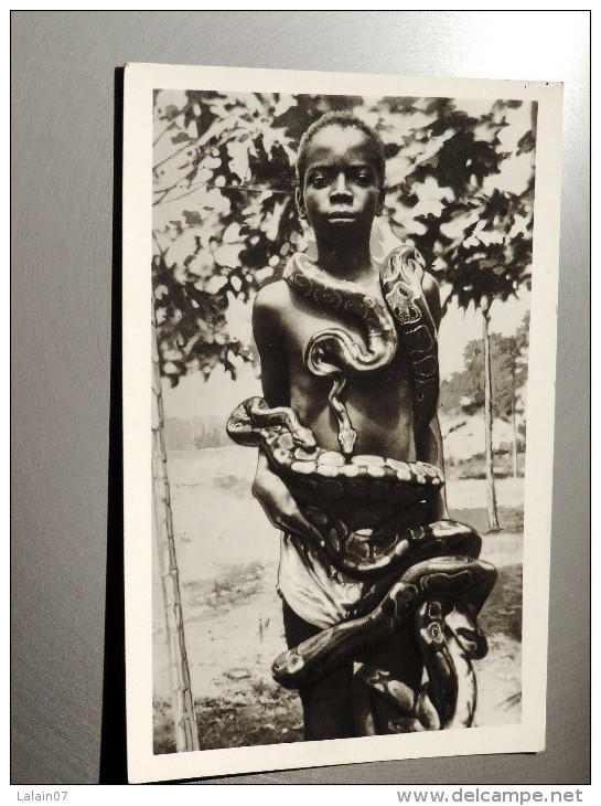 Carte Postale Ancienne : DAHOMEY , BENIN : Pythons Sacrés - Benin