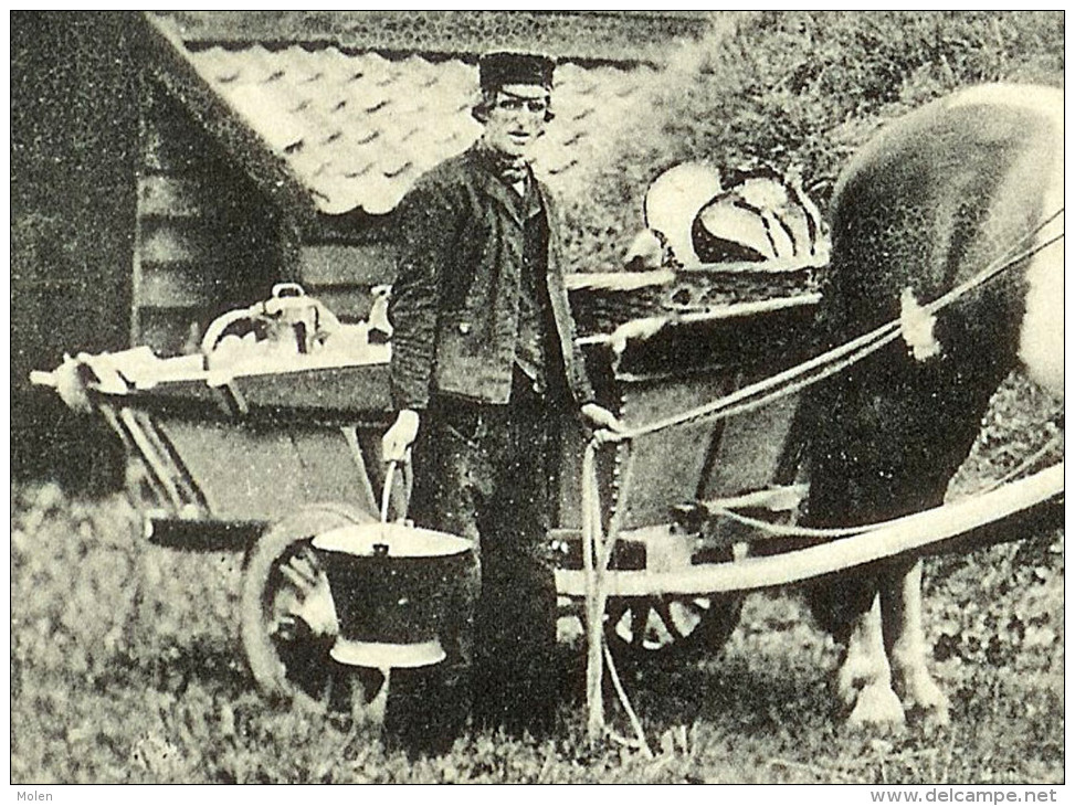 ZEELAND WALCHEREN ZEEUWSCHE PAARDENSPAN BOER PAARD Landbouwer - ATTELAGE CHEVAL PAYSAN CHEVAUX Zeeuws-Vlaanderen 2786 - Spannen