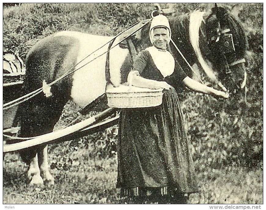 ZEELAND WALCHEREN ZEEUWSCHE PAARDENSPAN BOER PAARD Landbouwer - ATTELAGE CHEVAL PAYSAN CHEVAUX Zeeuws-Vlaanderen 2786 - Spannen