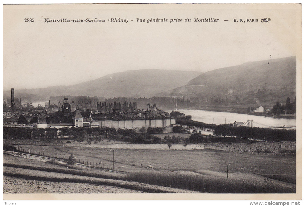 Neuville Sur Saone - Vue Générale Prise Du Monteiller - Neuville Sur Saone