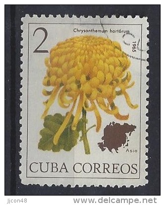 Cuba  1965  Flowers Of The World: Chrysanthemum  2c  (o) - Usados