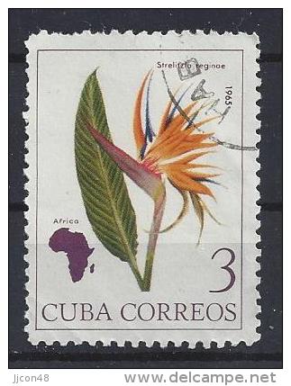 Cuba  1965  Flowers Of The World: Strelitzia  3c  (o) - Used Stamps