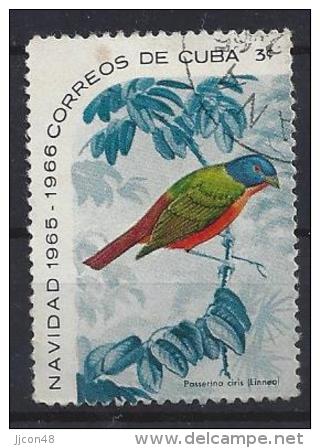 Cuba  1965  Christmas: Birds  3c  (o) - Gebruikt