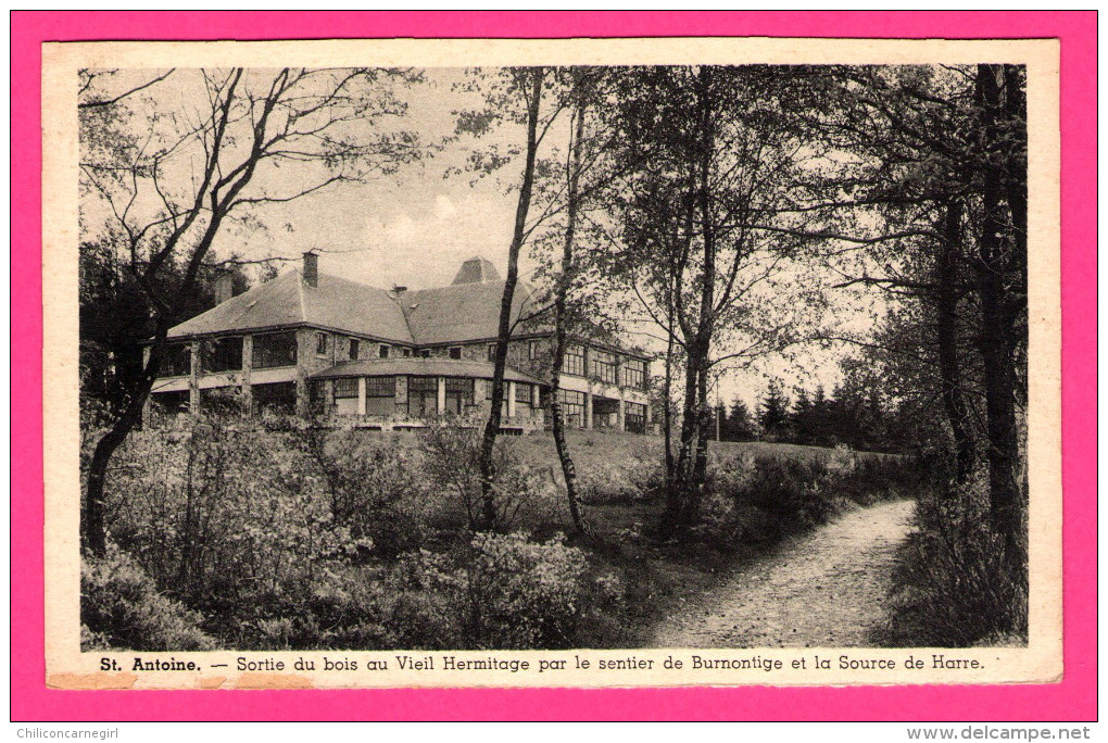 St. Antoine - Sortie Du Bois Au Vieil Hermitage Par Le Sentier De Burnontige Et La Source De Harre - LUMA - 1956 - Hamoir