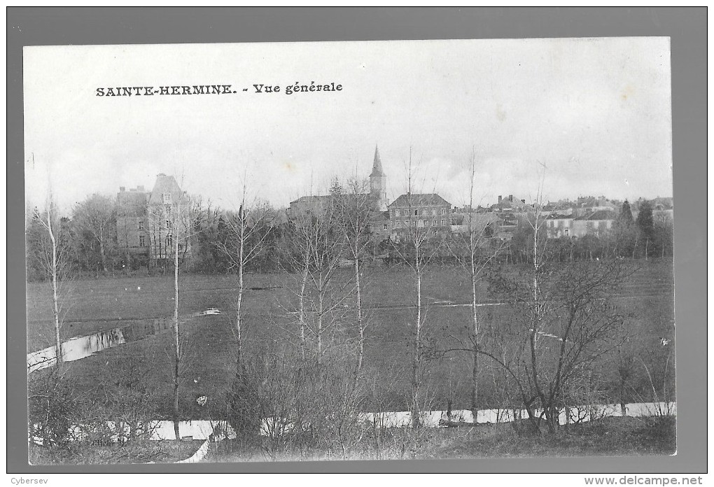 SAINTE-HERMINE - Vue Générale - Sainte Hermine