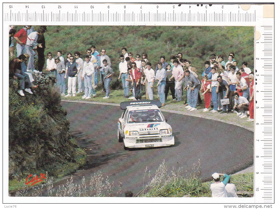 CORSE  -   205  TURBO  16  -  B.  Saby   -  J.F.  Fauchille - Rallye