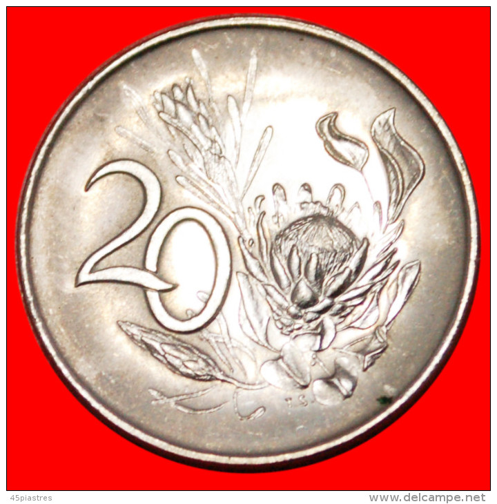 &#9733;PROTEA FLOWER&#9733;SOUTH AFRICA&#9733; 20 CENTS 1965! UNC! LOW START &#9733; NO RESERVE! - Zuid-Afrika
