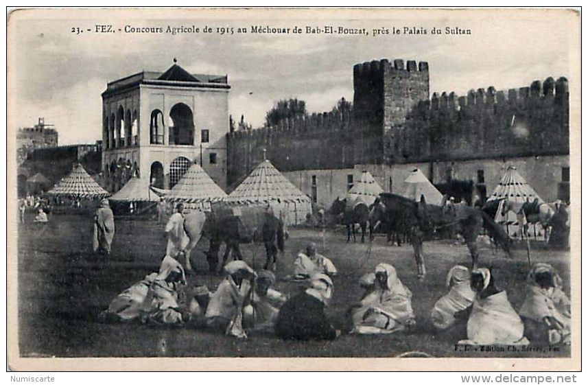 Cpa MAROC - FEZ - Concours Agricole De 1915 Au Méchouar De Bab El Bouzat , Près Le Palais Du Sultan - Fez