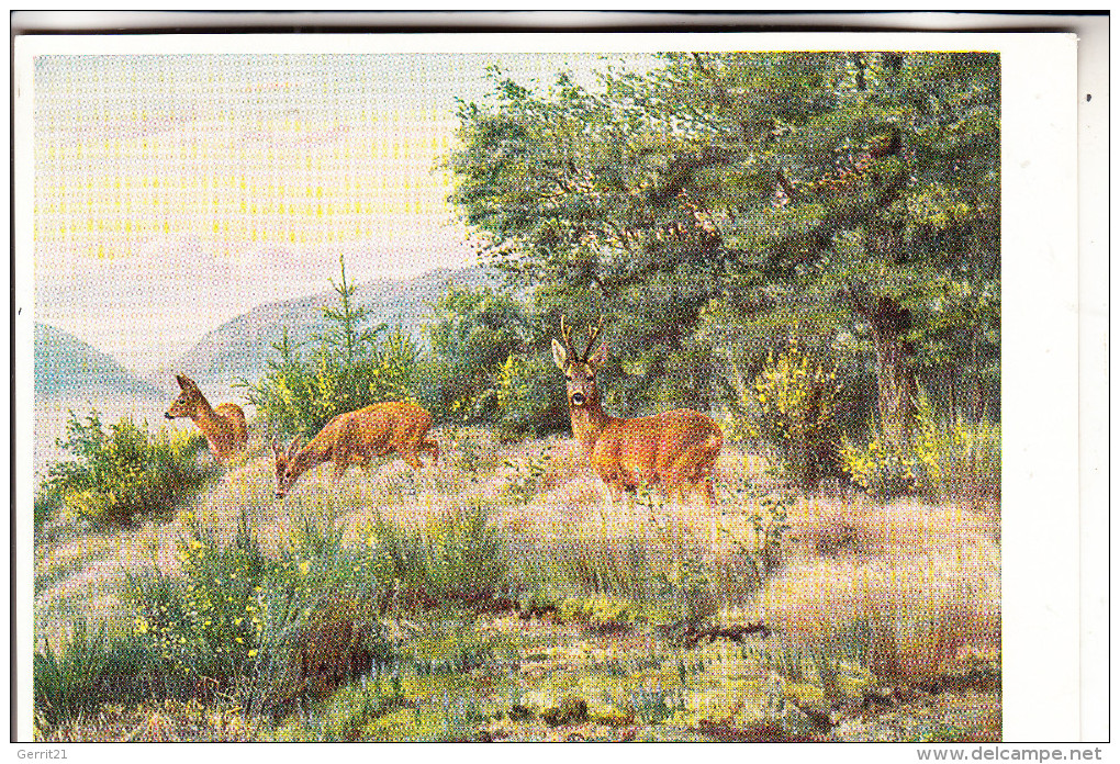 JAGD - HUNTING - JACHT - CHASSE - CACCIA - CAZA - LOWIECTWO - Rehe, Künstler-Karte F.Reimann - Andere & Zonder Classificatie