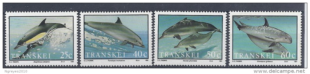 140017246  TRANSKEI   YVERT  Nº  267/70  **/MNH - Transkei