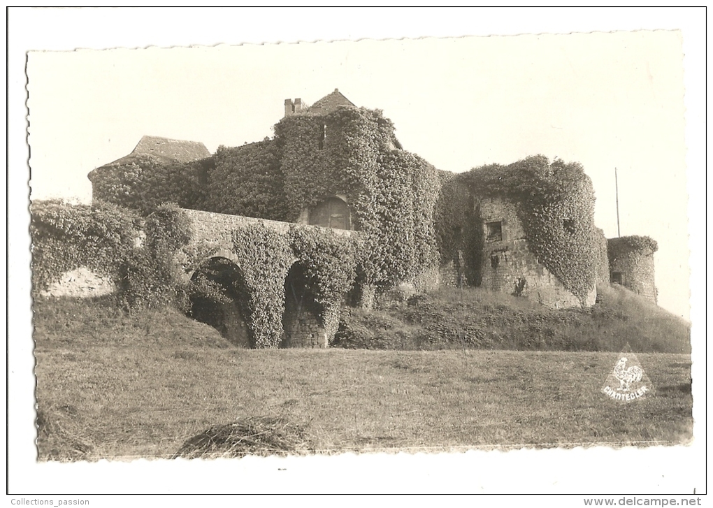 Cp, 64, Mauléon - Soule, Château Fort - Mauleon Licharre