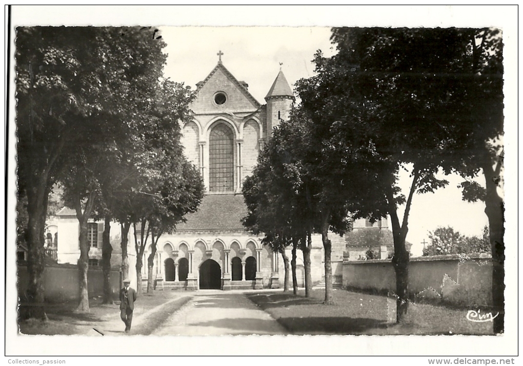 Cp, 89, Pontigny, Avenue De L'Abbaye - Pontigny