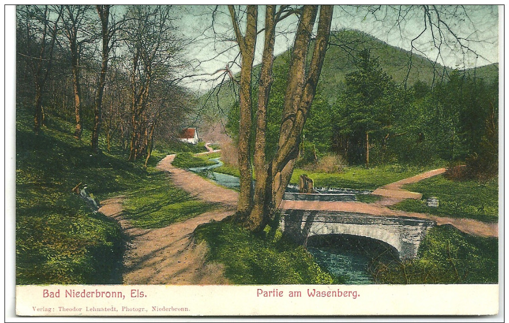 Cpa Niederbronn ,Els. / Partie Am Wasenberg ( Postkarte). - Niederbronn Les Bains
