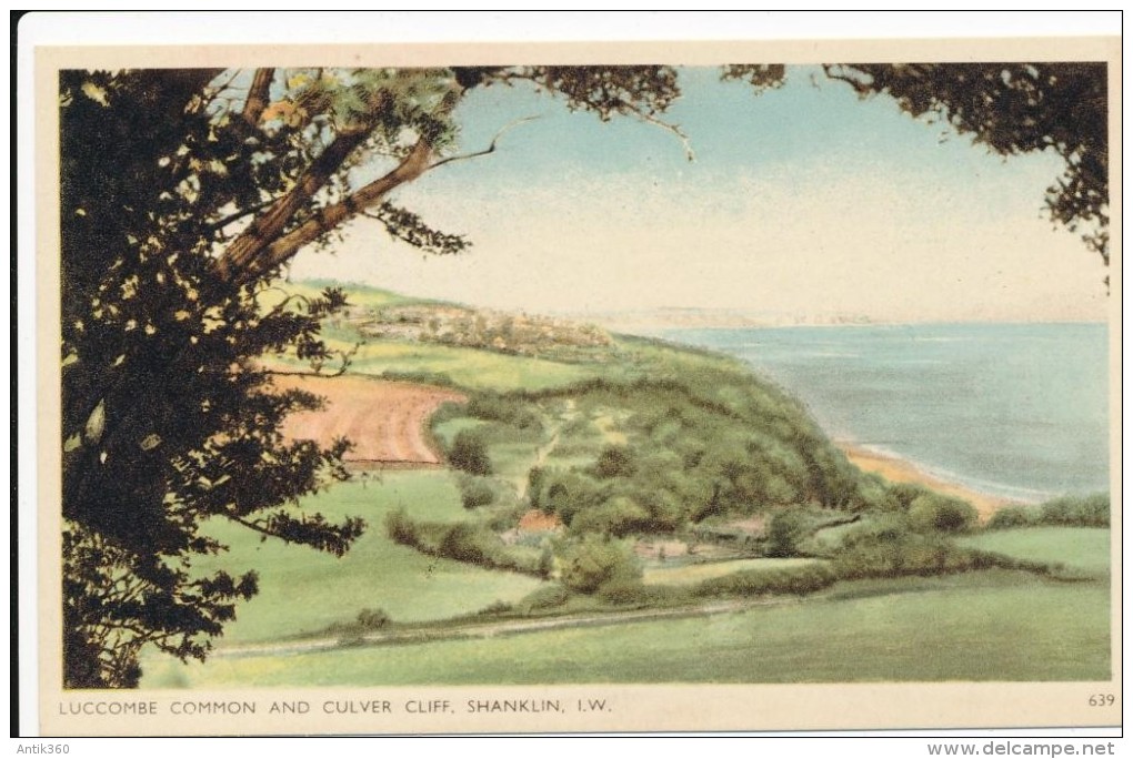 CPSM ROYAUME-UNI - Isle Of Wight - 6 Coulourgravure Post Cards Picturesque Shanklin - Other & Unclassified