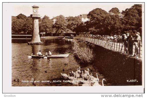 FEEDING THE SWANS, ROATH PARK , CARDIFF 4667 - Glamorgan