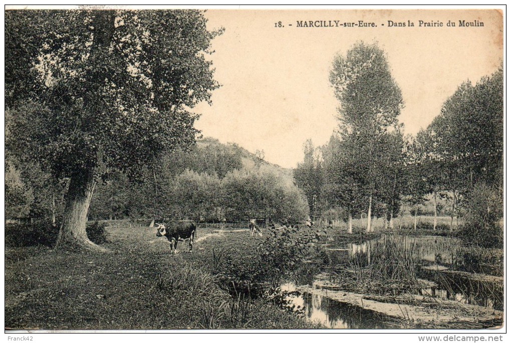 27. Marcilly Sur Eure. Dans La Prairie Du Moulin - Marcilly-sur-Eure