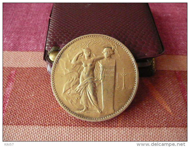 Médaille En Argent Lavoisier Union Des Industries Chimiques - Profesionales / De Sociedad