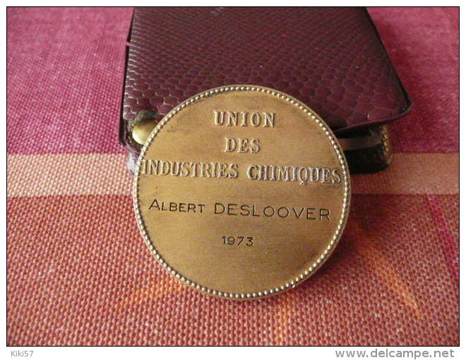 Médaille En Argent Lavoisier Union Des Industries Chimiques - Profesionales / De Sociedad